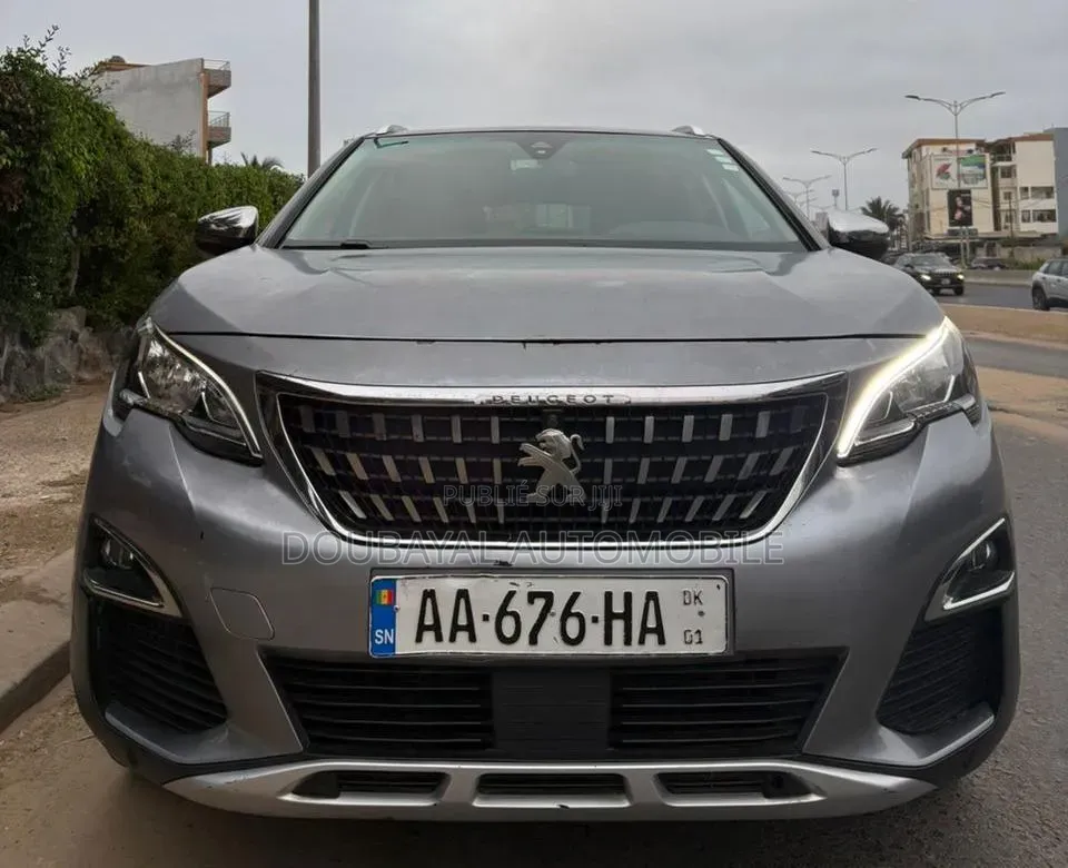Peugeot 3008 2019 Autre