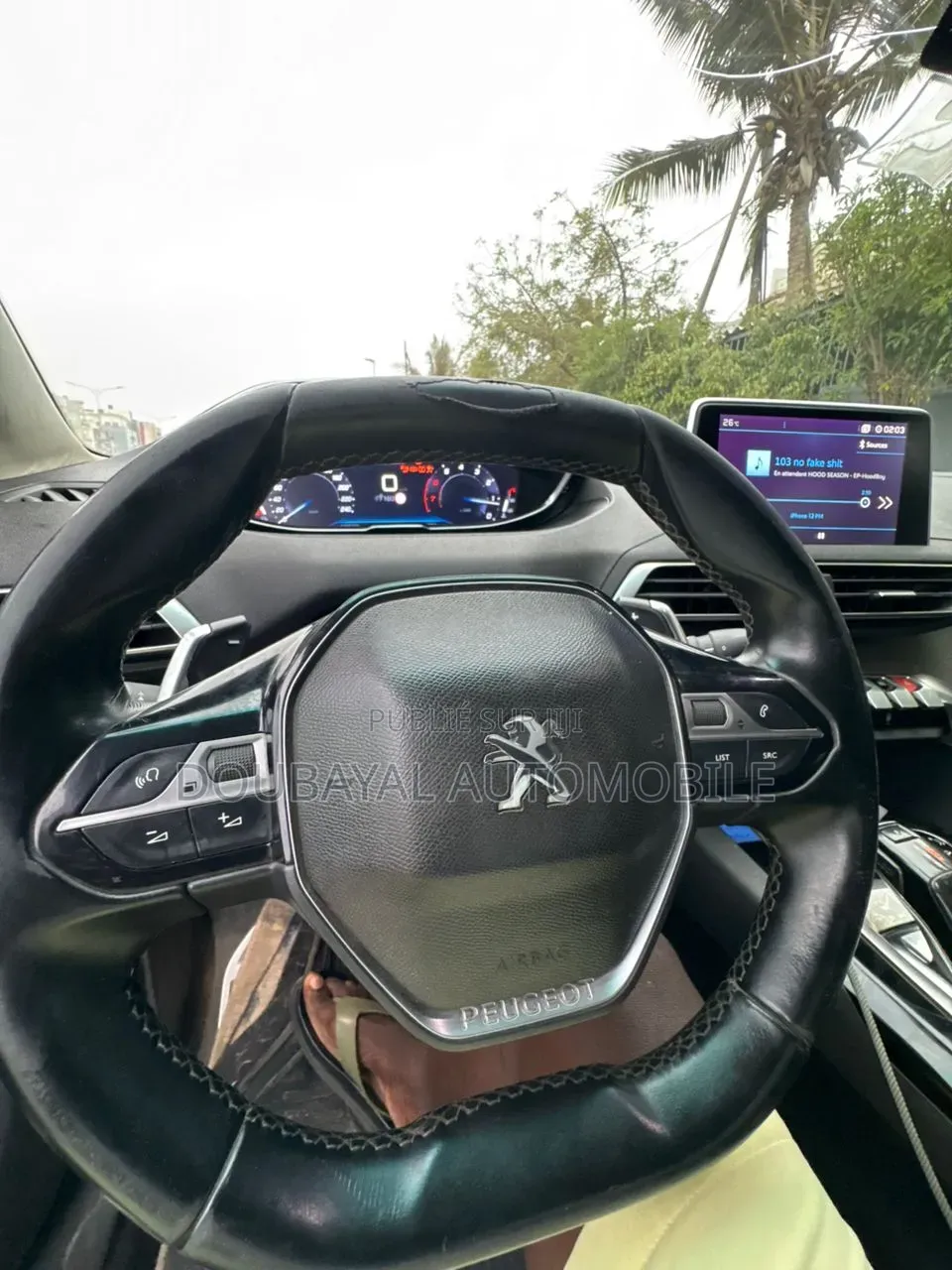 Peugeot 3008 2019 Autre