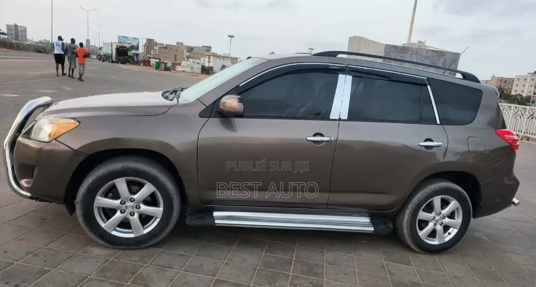Toyota RAV4 2011 Marron