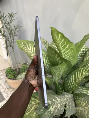 Apple iPad Pro 11 (2021) 128 GB Gris
