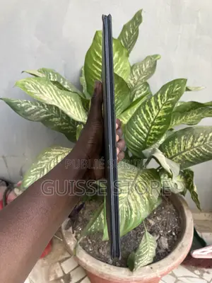 Clavier iPad Pro 11 Pouces