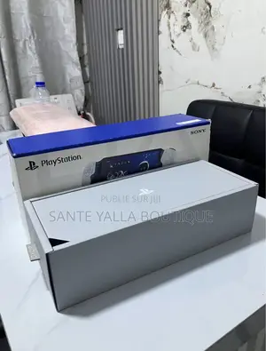 Sony Playstation 5 Portal
