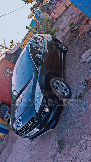 Peugeot 3008 2010 Vert