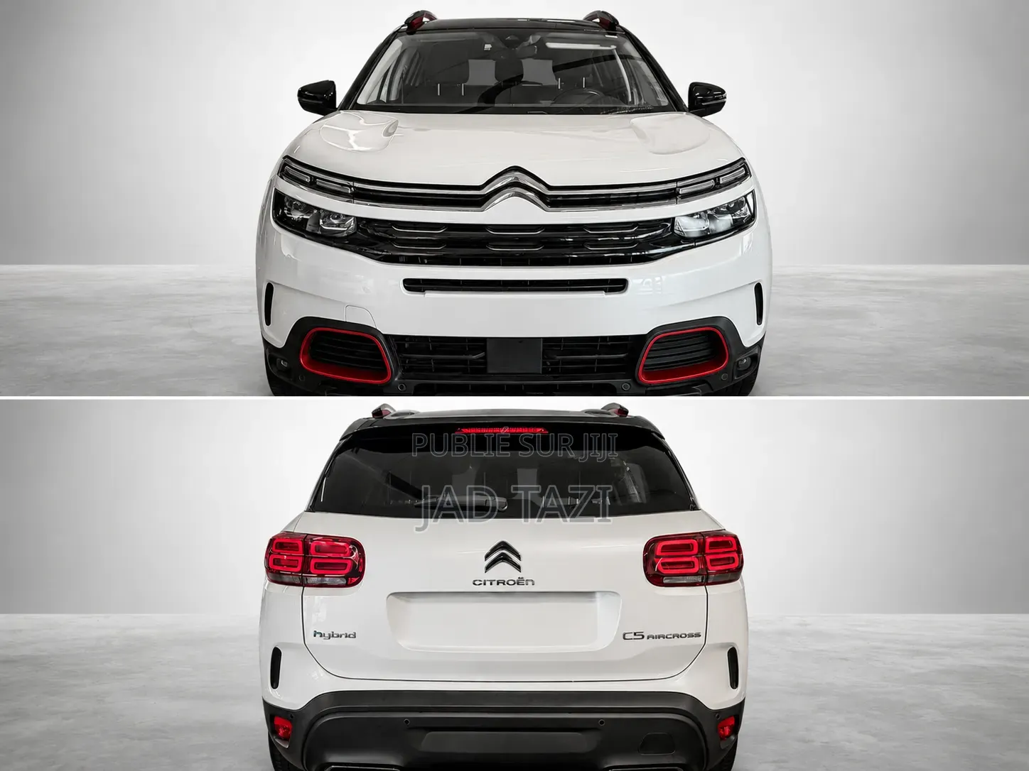 Citroen C5 2021 Blanc cassé