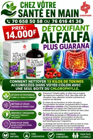 Alfalfa Guarama
