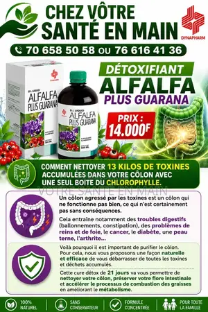 Alfalfa Guarama