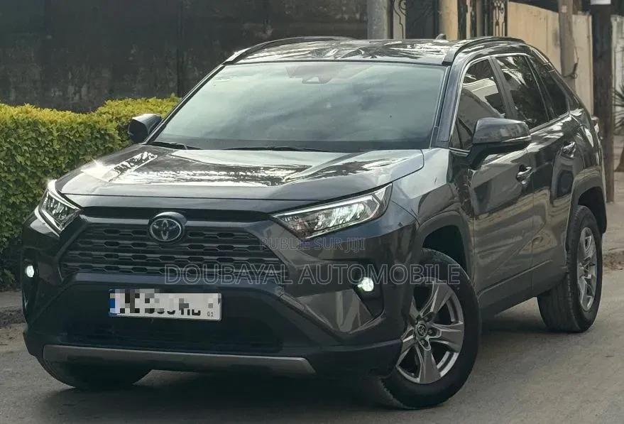 Toyota RAV4 2021 Gris