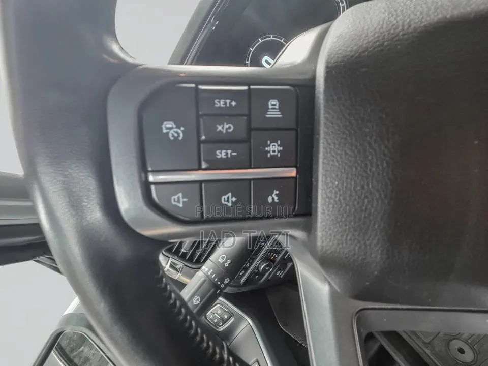Ford F-150 2022 Gris