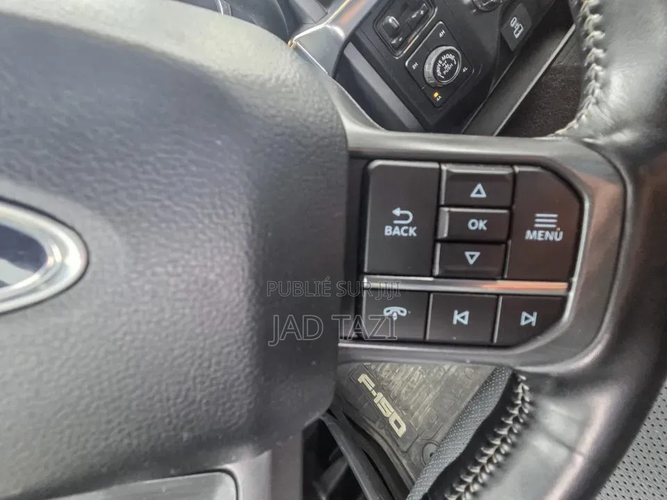 Ford F-150 2022 Gris