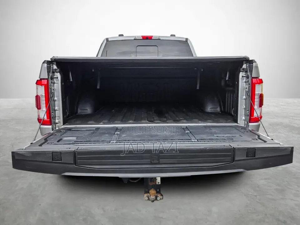 Ford F-150 2022 Gris