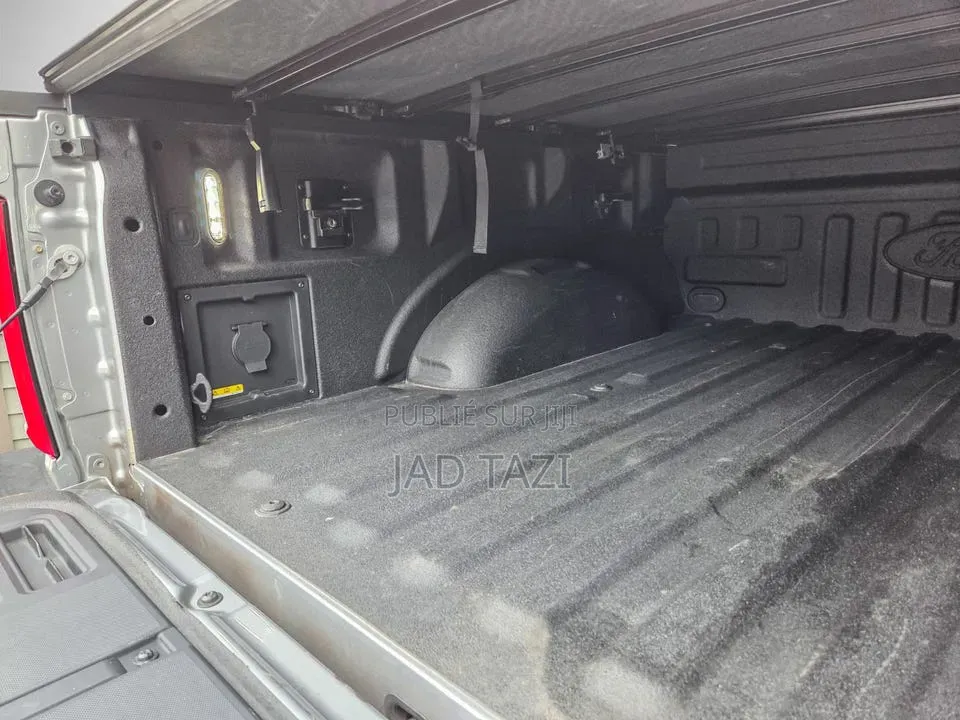 Ford F-150 2022 Gris