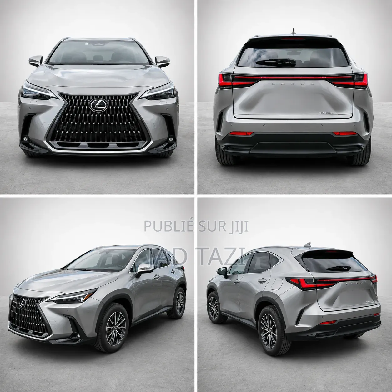 Lexus NX 2022 Gris