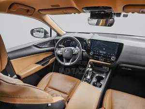 Lexus NX 2022 Gris