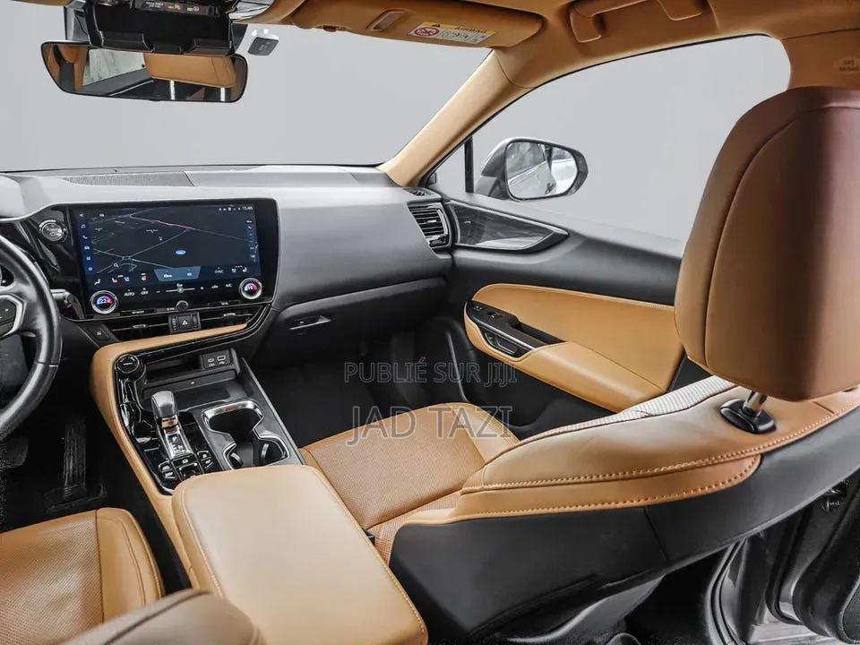 Lexus NX 2022 Gris