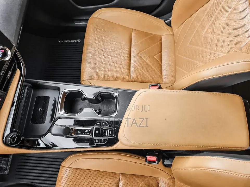 Lexus NX 2022 Gris