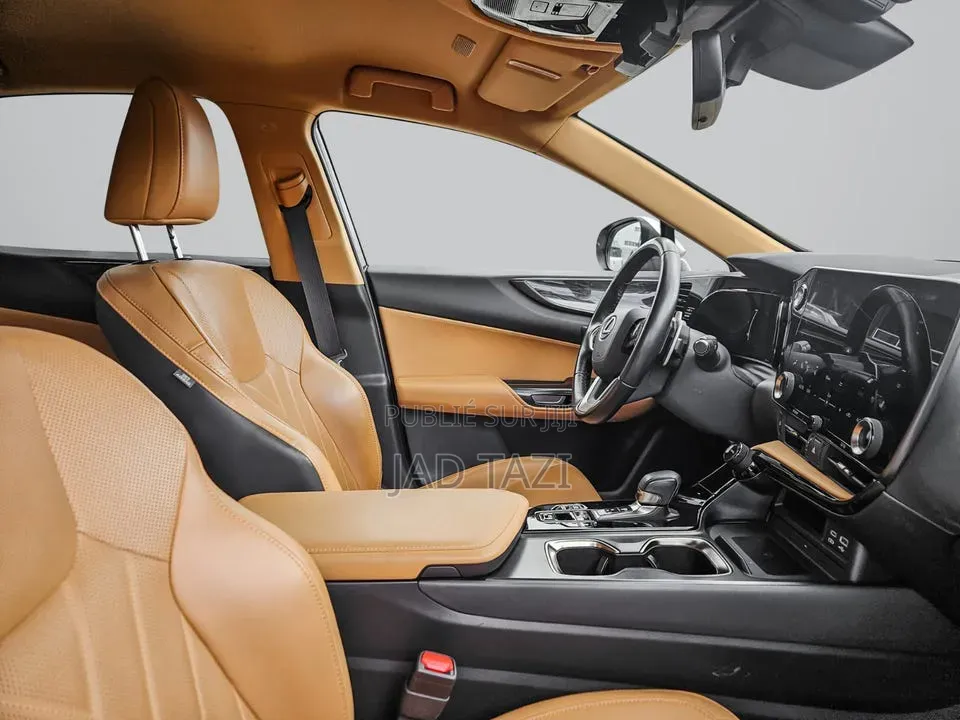 Lexus NX 2022 Gris
