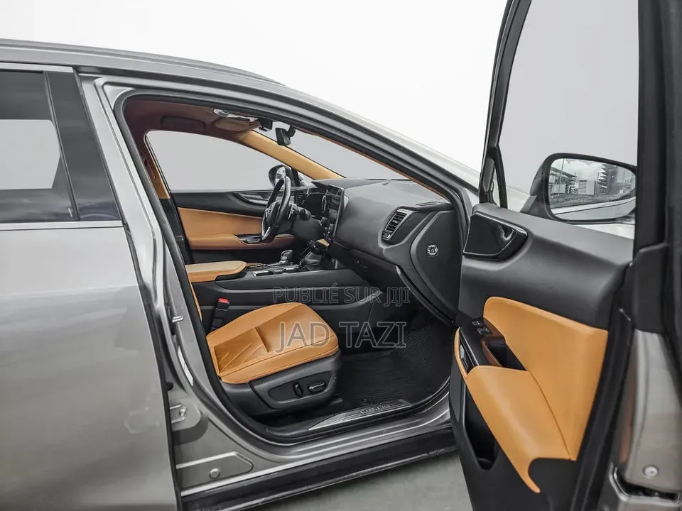 Lexus NX 2022 Gris