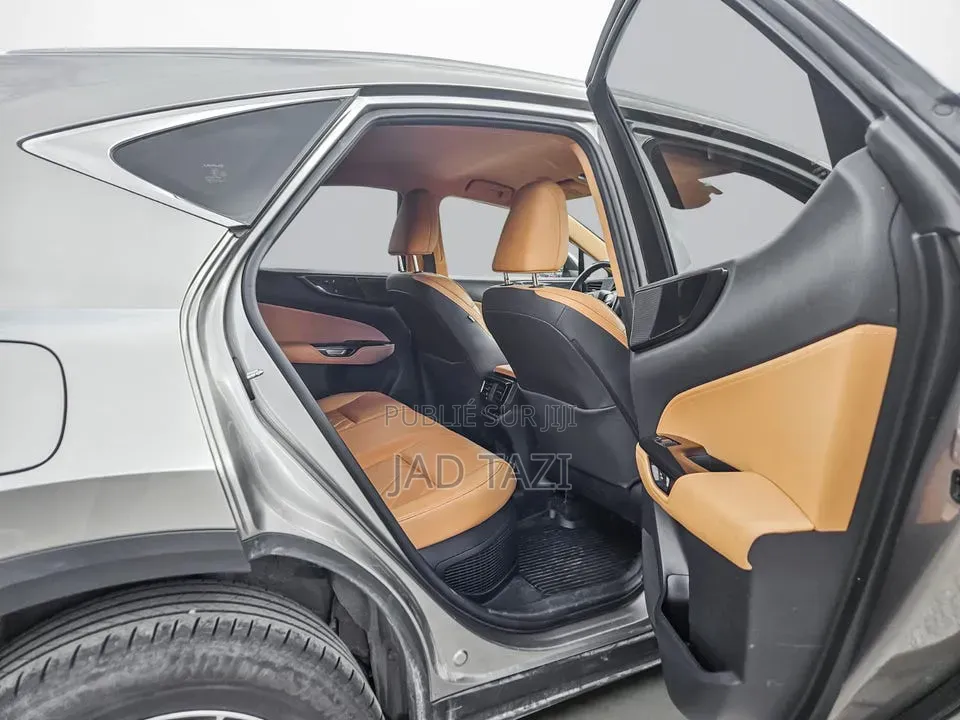 Lexus NX 2022 Gris