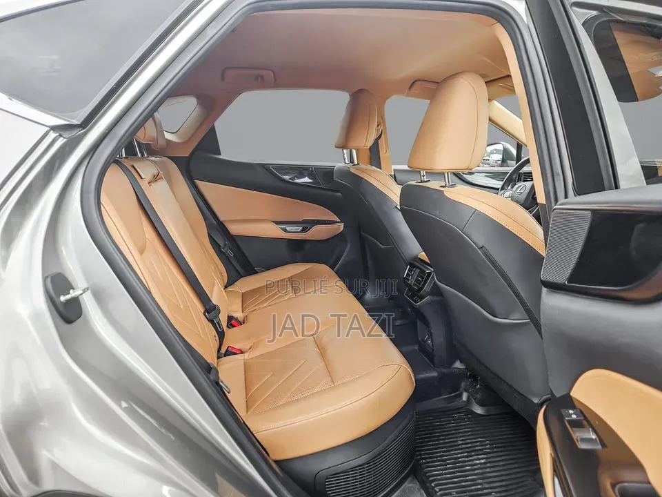 Lexus NX 2022 Gris