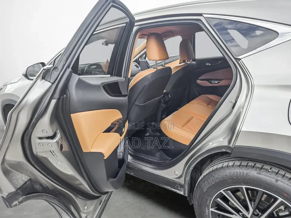 Lexus NX 2022 Gris