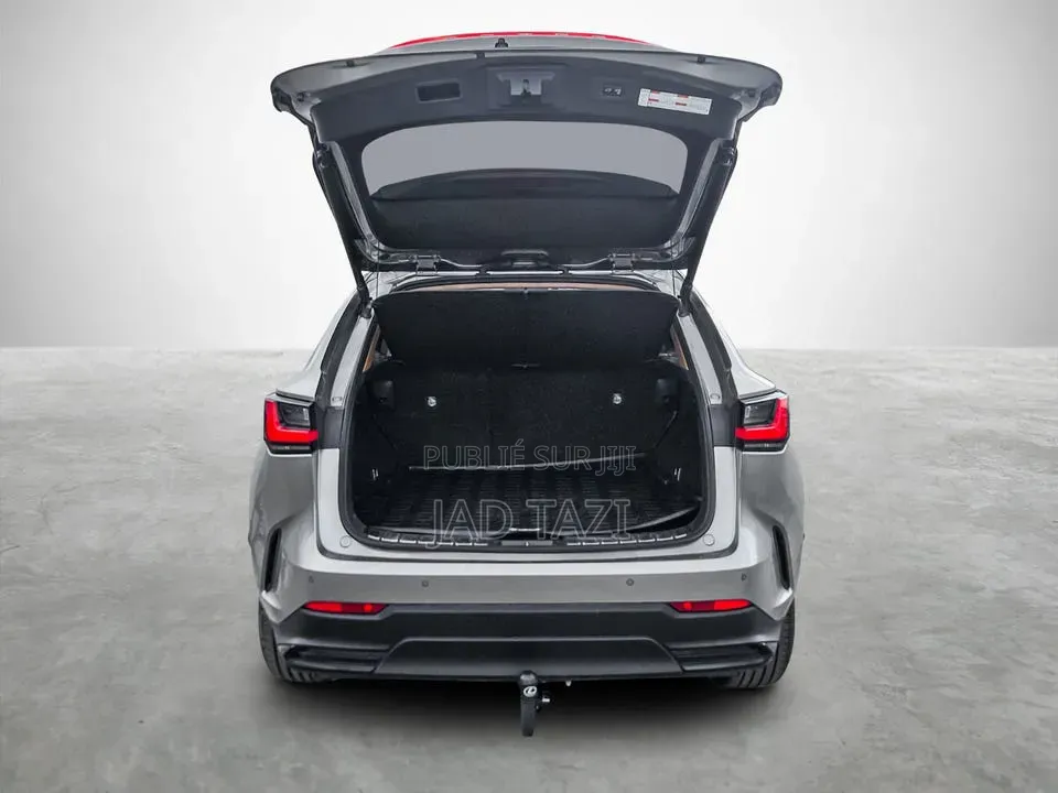 Lexus NX 2022 Gris