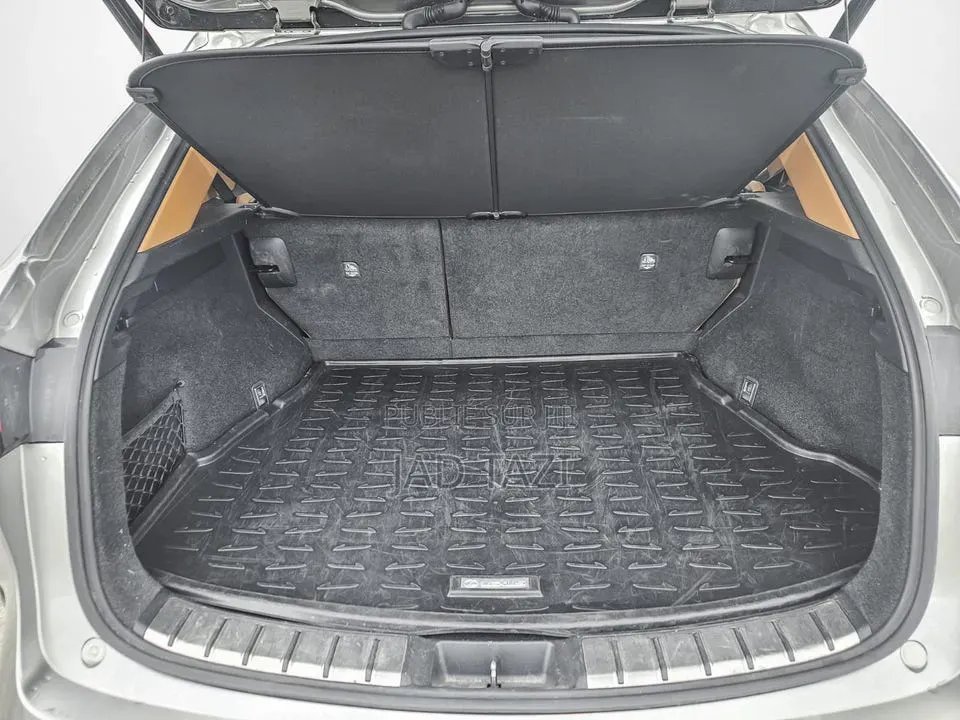 Lexus NX 2022 Gris