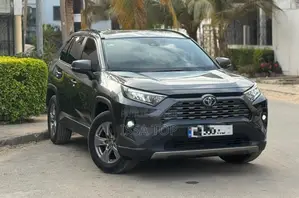 Toyota RAV4 2021 Gris