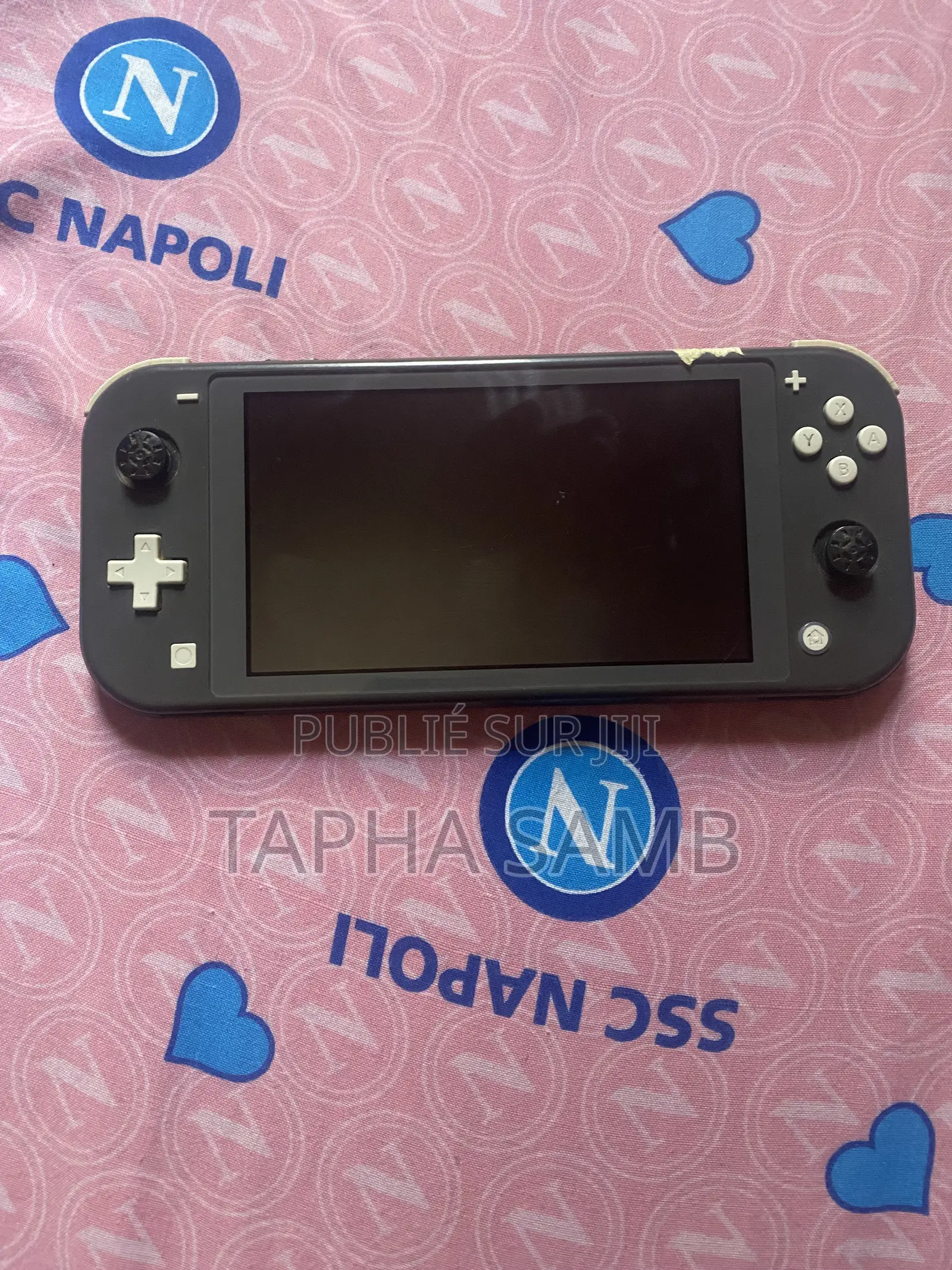 Nintendo Lite