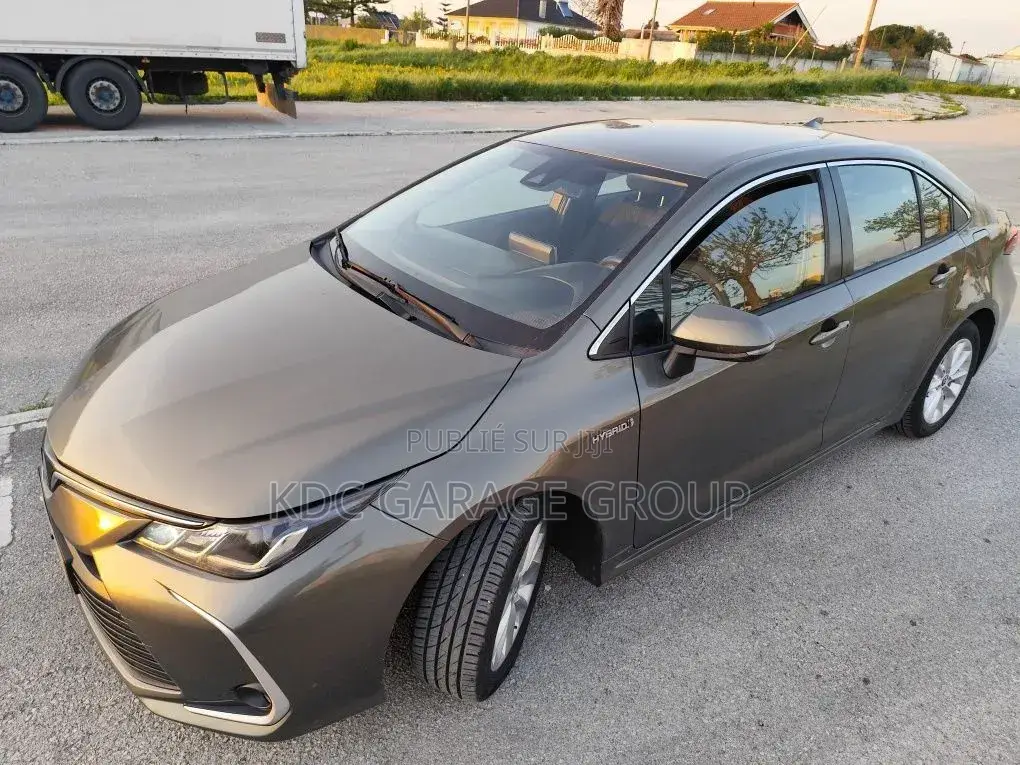 Toyota Corolla 2019 Gris