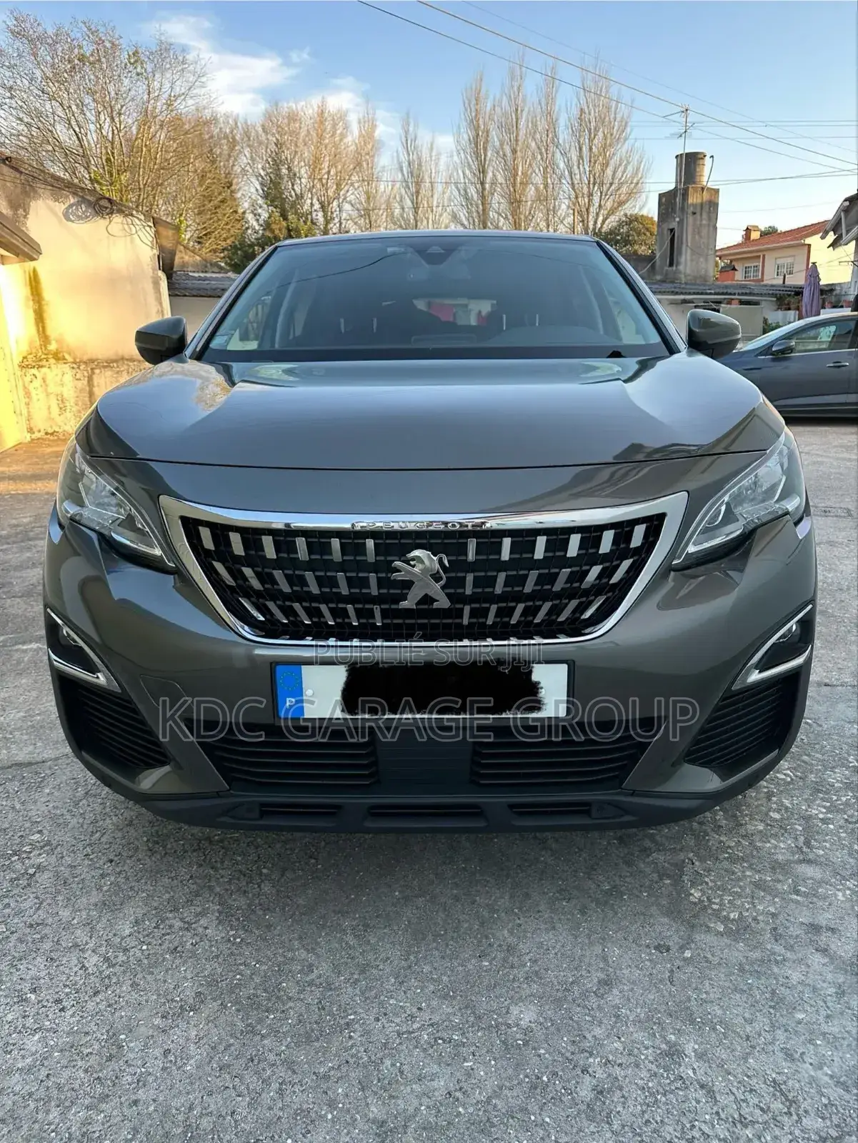Peugeot 3008 2018 Gris