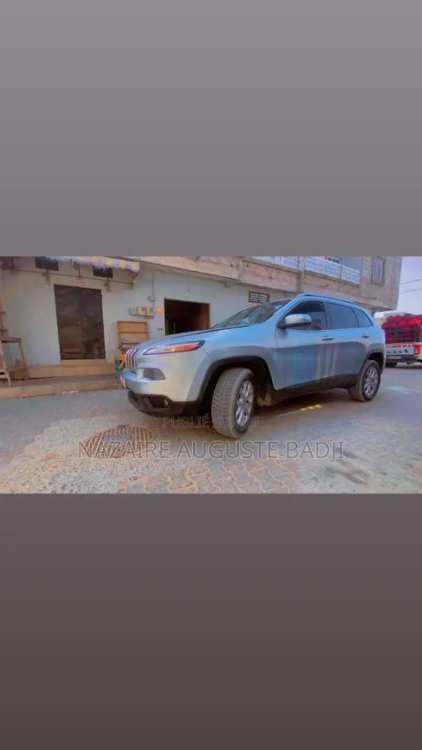 Jeep Cherokee 2019 Gris