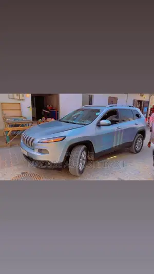 Jeep Cherokee 2019 Gris
