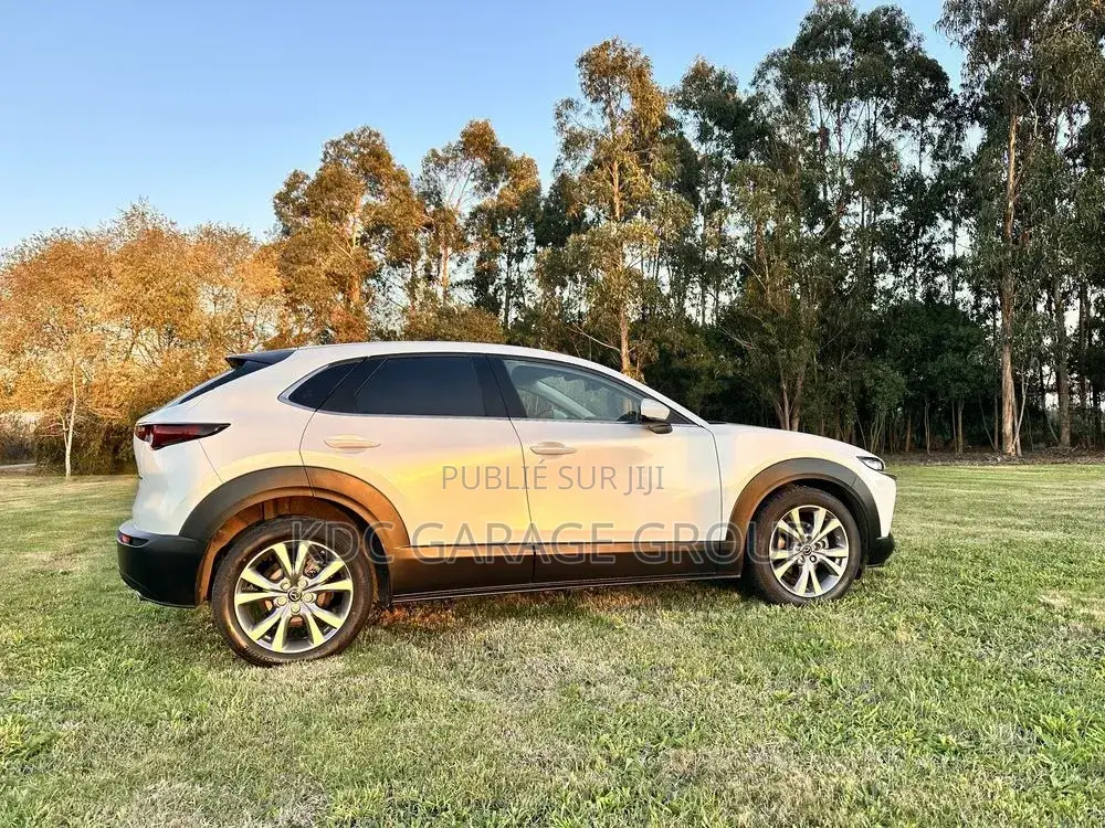Mazda CX-30 2019 Blanc