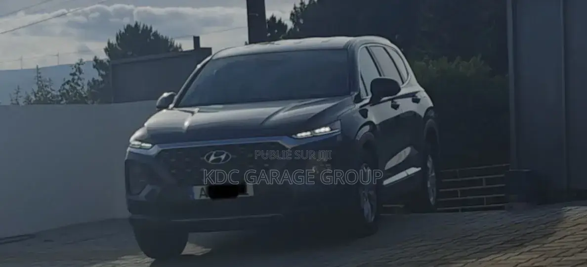 Hyundai Santa Fe 2020 Gris