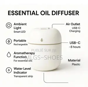 Diffuseur Électrique