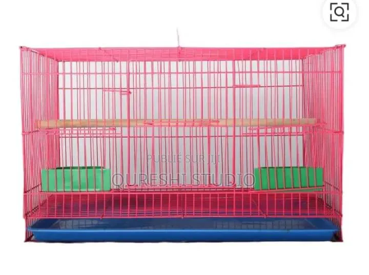 Cage Des Oiseaux