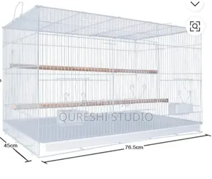 Cage Des Oiseaux