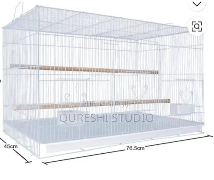 Cage Des Oiseaux