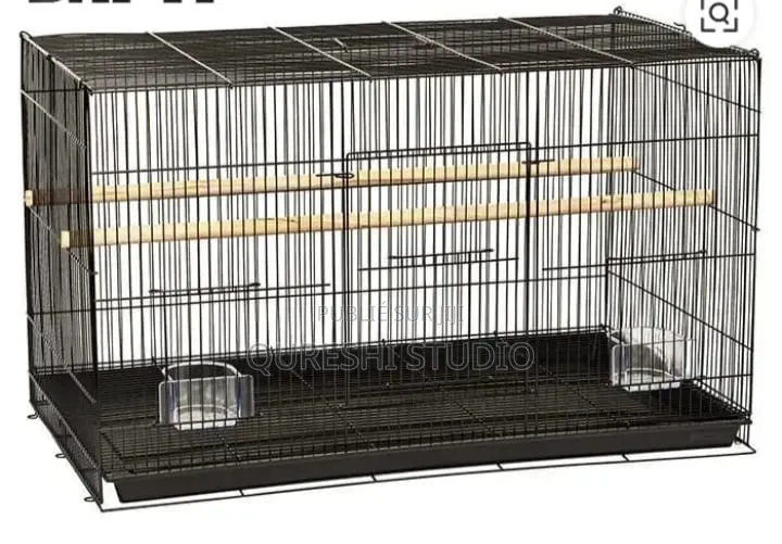 Cage Des Oiseaux