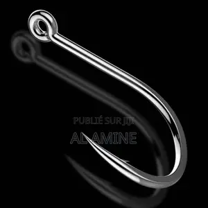 Hameçons De Pêche en Acier Inoxydable 10 PCS