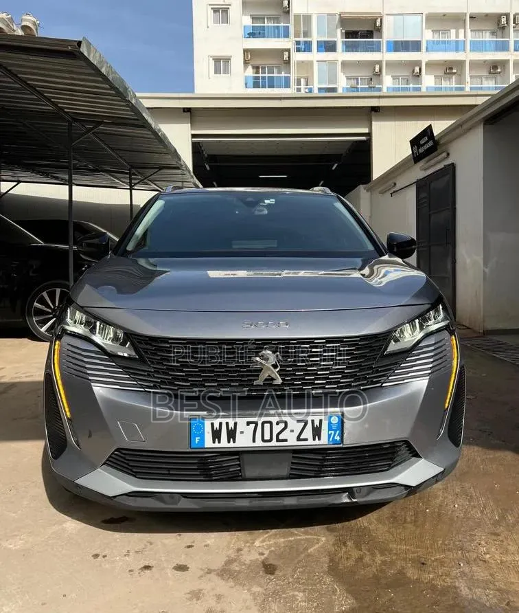 Peugeot 3008 2021 Gris
