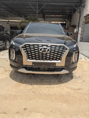 Hyundai Palissade 2019 Noir