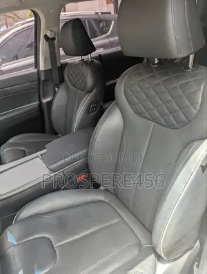 Hyundai Palissade 2019 Noir