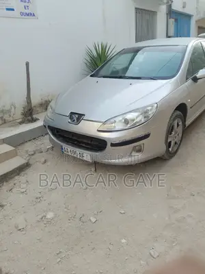 Peugeot 407 1.6 Esplanade 2008 Gris