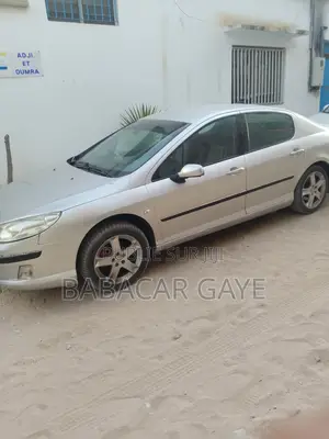 Peugeot 407 1.6 Esplanade 2008 Gris