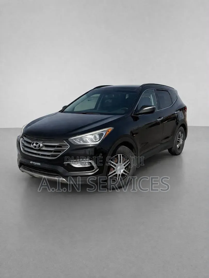 Hyundai Santa Fe 2017 Noir
