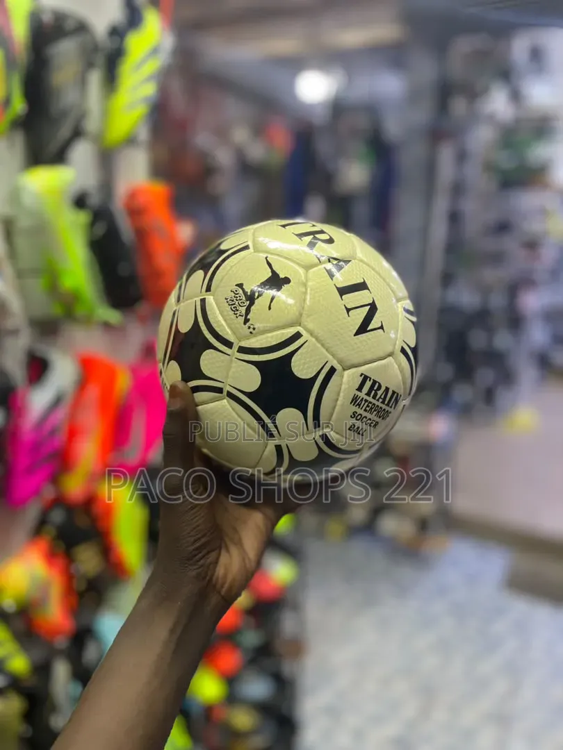 Ballon Pro Match Officiel