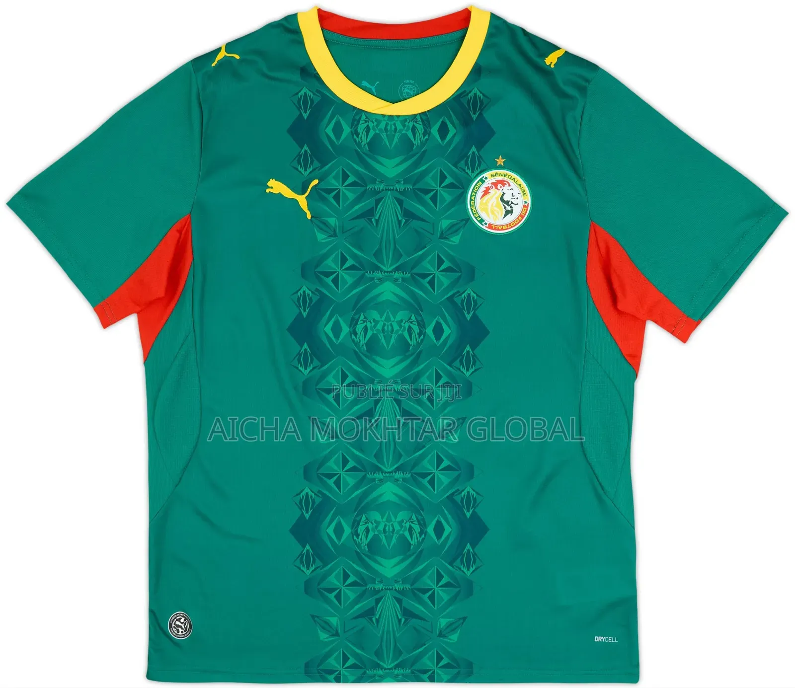 Maillot Coupe Du Monde