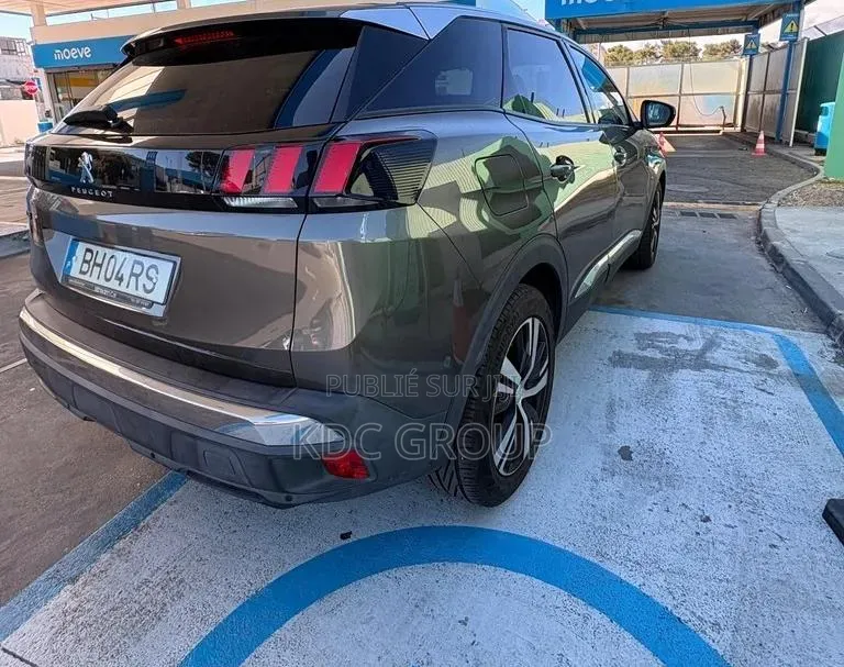 Peugeot 3008 2018 Autre