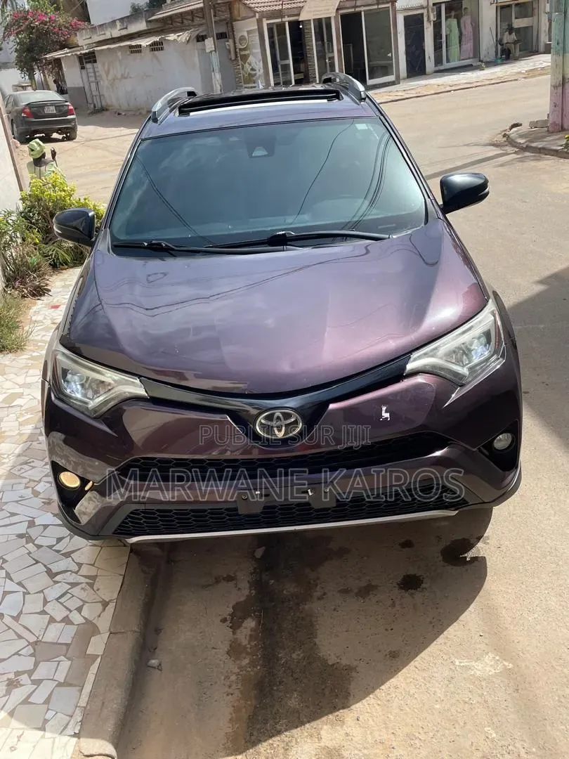 Toyota RAV4 2018 Bordeaux